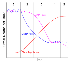 Demographic transition model diagram